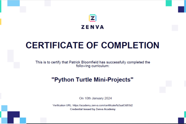 Python Mini Turtle