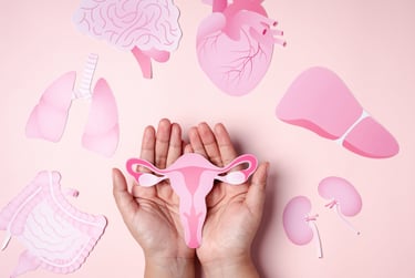 Hands holding a pink paper uterus surrounded by paper icons of human organs on a pink background.