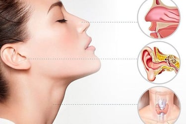 Anatomical ENT diagram showing a profile view of a woman's nose, ear, and throat with detailed cross-sections.
