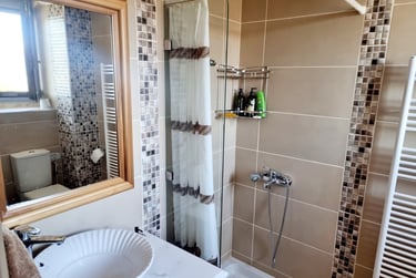 a bathroom with a sink and a shower