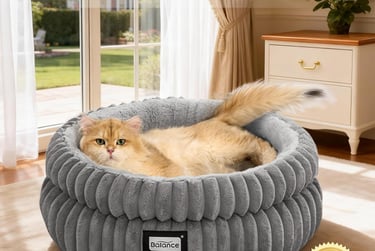 Cat Bed
