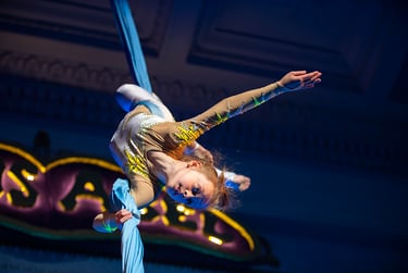 Cirque du Soleil, exemplo de sucesso na Estratégia do Oceano Azul.