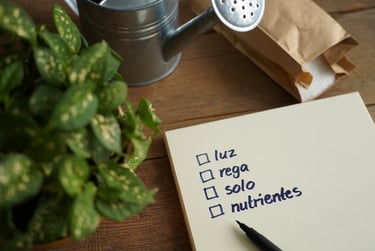 Checklist prático para identificar problemas em plantas. Observe 5 pontos rapidamente.