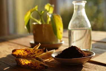 Soluções naturais para reverter folhas amarelas. Ingredientes simples e eficazes.