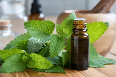 Huiles essentielles anti-moustiques