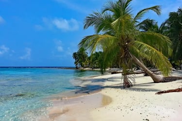 Tropical white sand beach with leaning palm trees and clear turquoise ocean water under a blue sky.