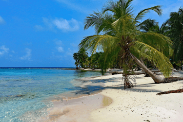 Isla Diablo, San Blas, Panamá