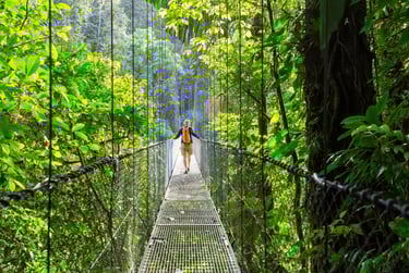 A hiker walks across a long metal suspension bridge through a lush tropical rainforest canopy.