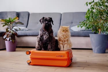 voyager avec son chien et son chat