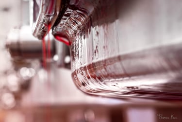 photographie vinification surface vin matière vivante Éléonore Parc photographe d’art Bourgogne