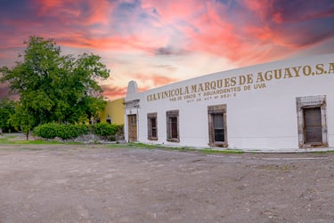 Hoteles en Parras perfectos para visitar viñedos en Parras , Hotel Marqués de Aguayo