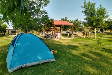 Hoteles en Parras perfectos para visitar viñedos en Parras , Cabañas El Encuentro