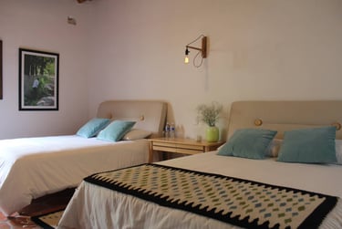 Hoteles en Parras perfectos para visitar viñedos en Parras , Hotel Foggara