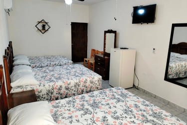 Hoteles en Parras perfectos para visitar viñedos en Parras , Hotel Bellota