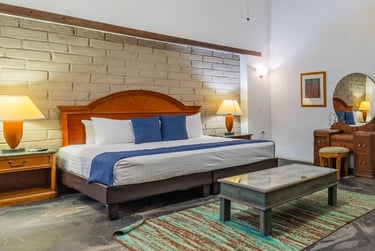 Hoteles en Parras perfectos para visitar viñedos en Parras , Hotel Nuve Parras