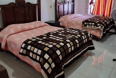 Hoteles en Parras perfectos para visitar viñedos en Parras , Hotel Don José