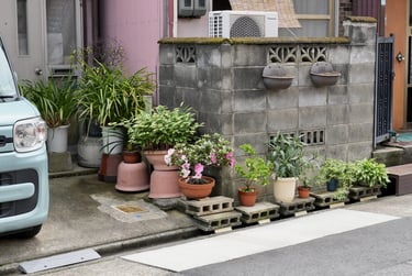 garden in Japan jardin au japon