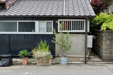 garden in Japan jardin au japon