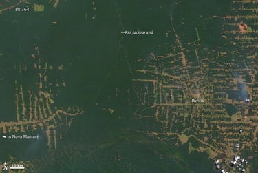 Satellite image taken in 2000 of the Amazon rainforest in the state of Rondônia in Brazil