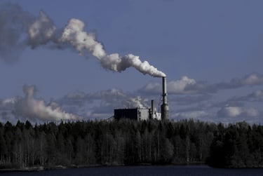 Photo d'une forêt devant une usine fumante : la forêt comme aspirateur de nos déchets ?