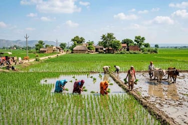 agriculture land for sale in jaipur | Jaipur Dream Homes