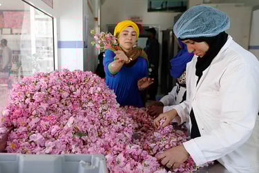 Rose Festival of Kelaa M'Gouna moroccography