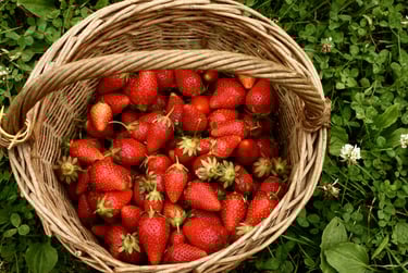 fraise