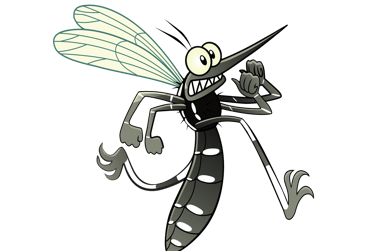 a mosquito run from SuperMoustique's mosquito control service