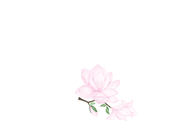 Pink peony illustration for greeting cards and art prints