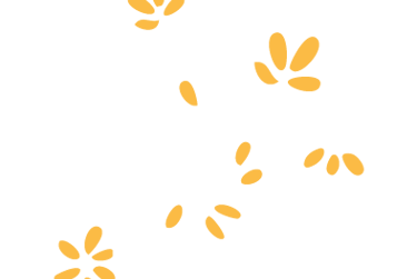 pétales de fleurs qui s'envolent