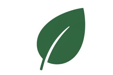 Simple green leaf icon representing natural and herbal elements