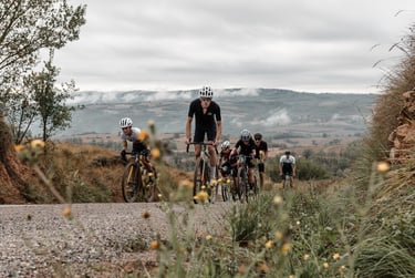 a group of cyclists riding down a road