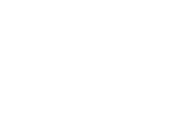 Drive Elite logo