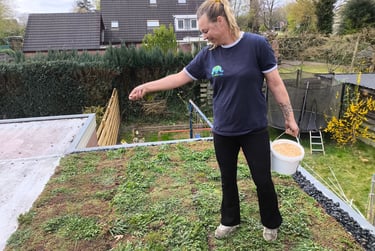 Voeding voor de start