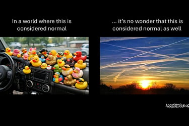 Arrested Sun Geoengineering Awareness Memes - Jeep Ducks Geoengineering