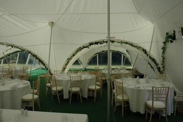 Classic limewash chivari chair