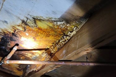 moisture and mold damage in crawl space in marietta ga. 