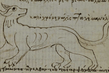 Salamandra medieval con forma de perro enel Physiologus griego