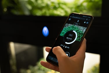 App CultEvo per monitoraggio crescita piante su smartphone