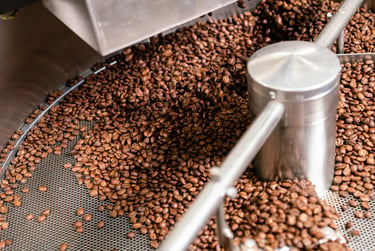 Chicchi di caffè in tostatrice durante il processo di lavorazione