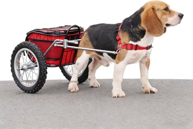 Heavy Duty Dog Wagon Harness for Cart Pulling, Adjustable Working Dog Harness with Reinforced Snap B
