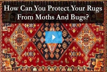 Video link to How to protect from moths and bugs
