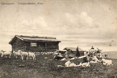 Sheep, cows and people in front of an old building, b&w-pd