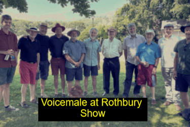 Voicemale at Harbottle show