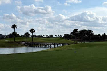 Peaceful daytime view of a golf course in The Villages with water, palms, and wide open greens