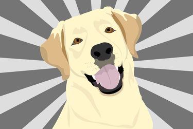 a dog is smiling and looking at the camera