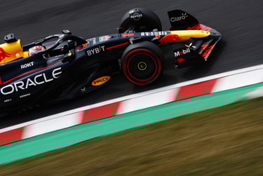 Maxas Verstappenas Red Bull