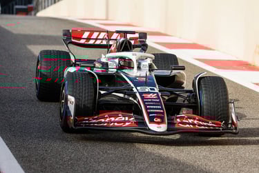 Ryo Hirakawa Haas