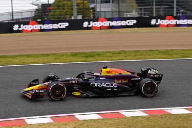 Maxas Verstappenas Red Bull