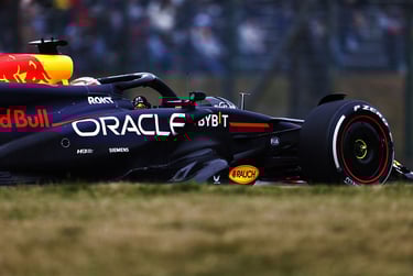 Maxas Verstappenas Red Bull